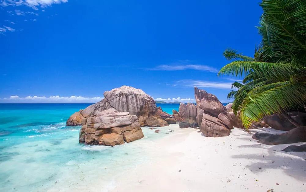 viajar ahora sin vacuna