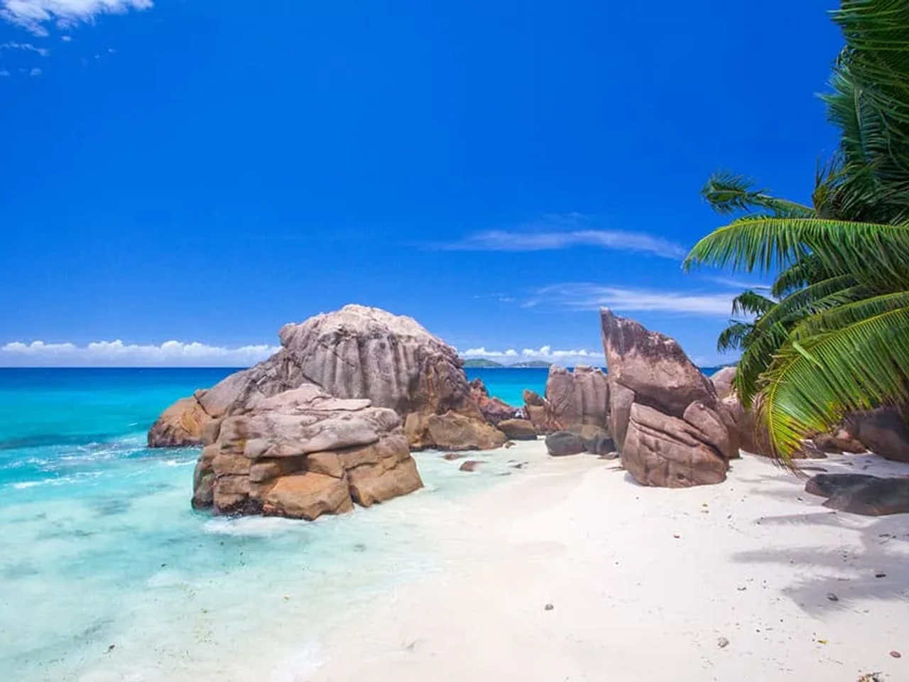 viajar ahora sin vacuna