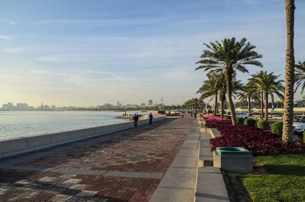 passeio maritimo de doha com palmeiras