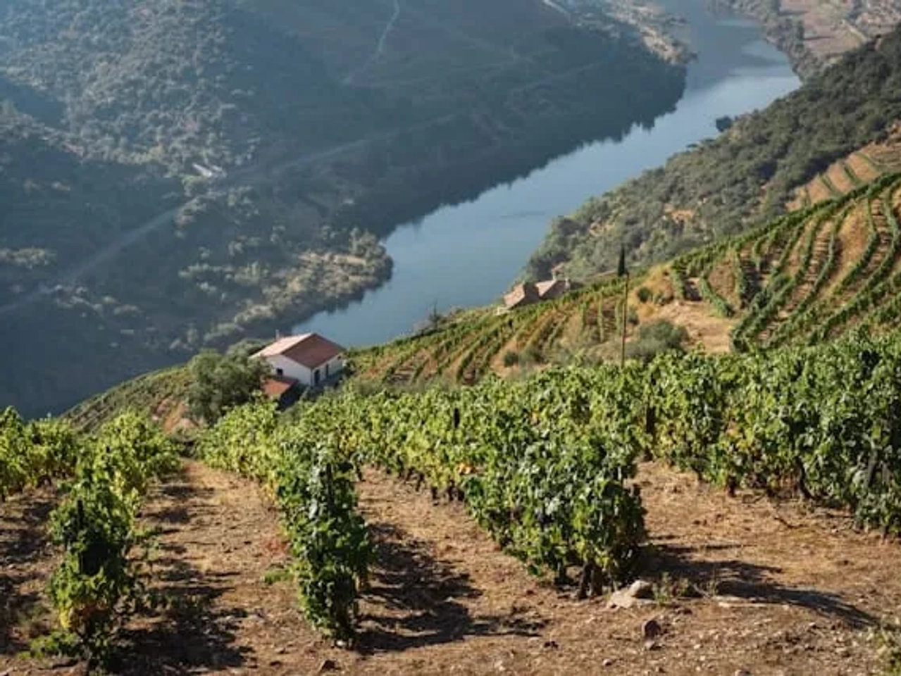 casa pequena no douro com vista para o rio douro