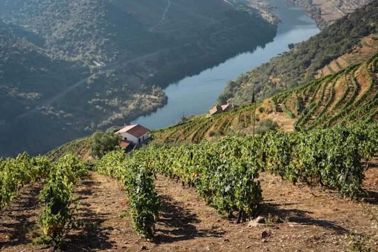 casa pequena no douro com vista para o rio douro