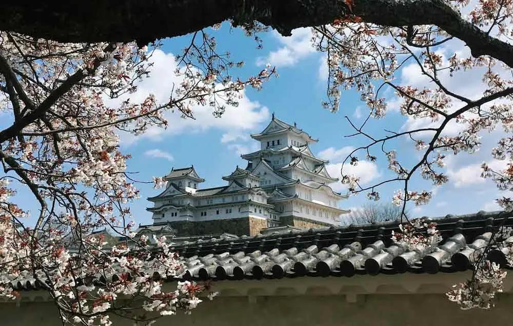 qué hacer en Japón