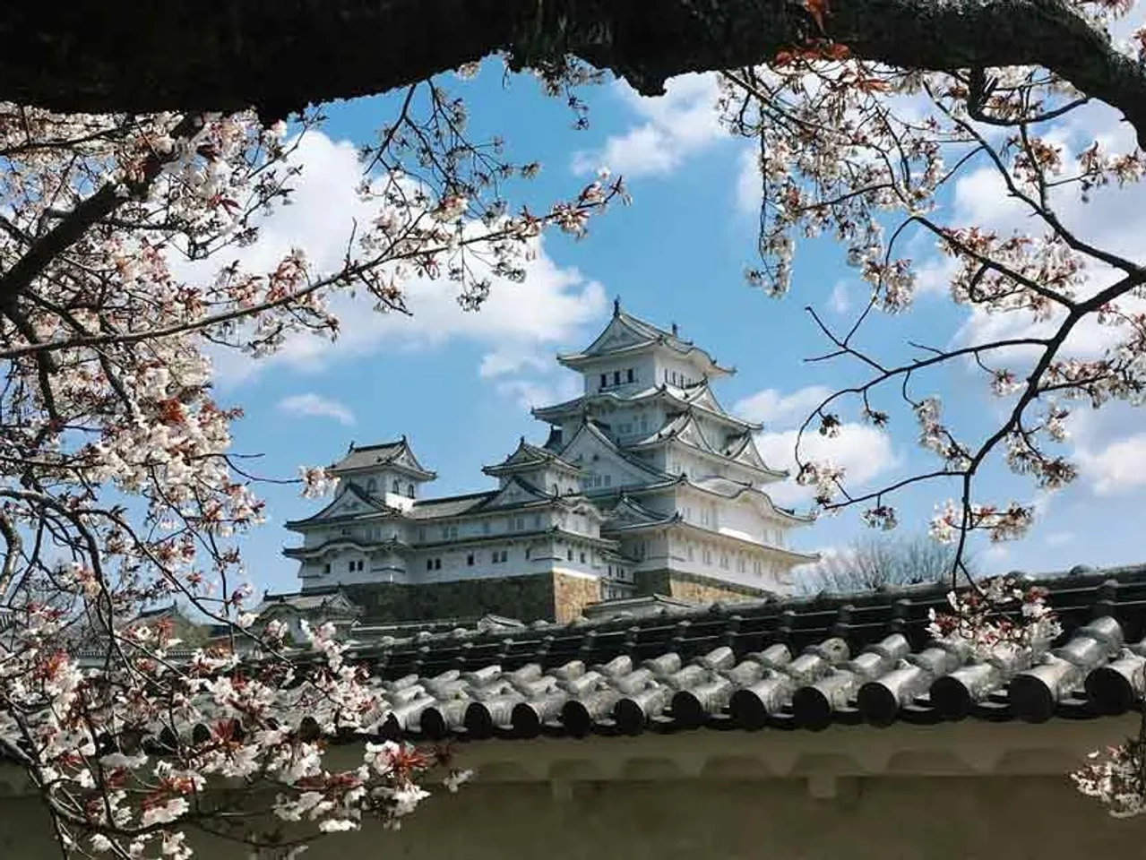 qué hacer en Japón