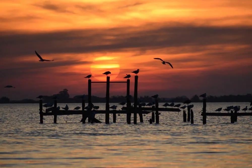 excursiones desde Buenos Aires