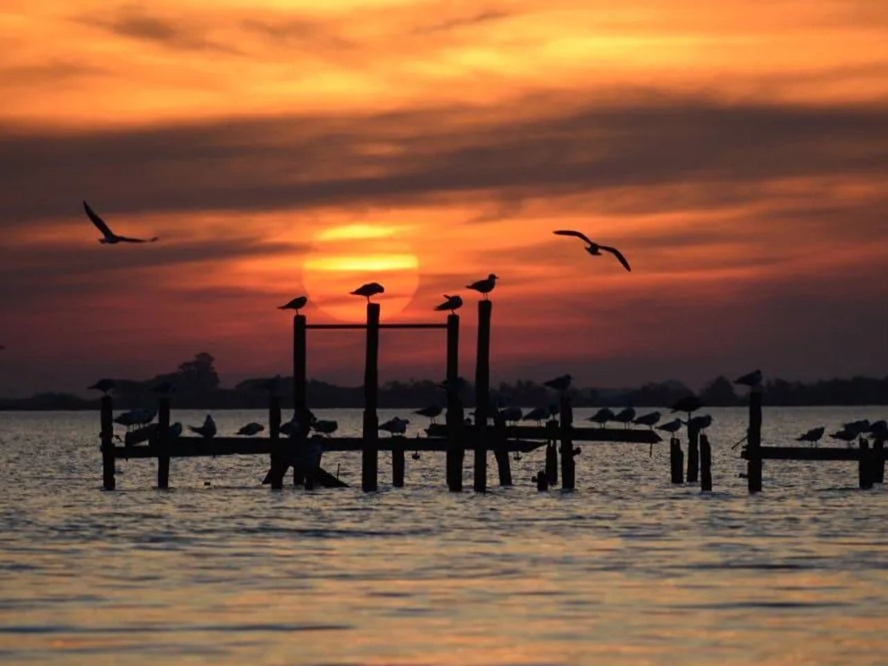 excursiones desde Buenos Aires