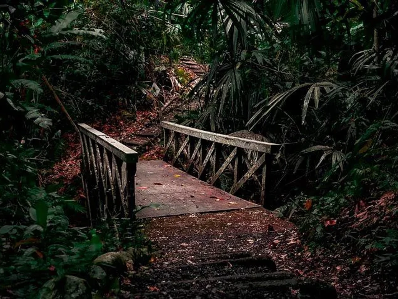 Qué ver en las islas Perhentian