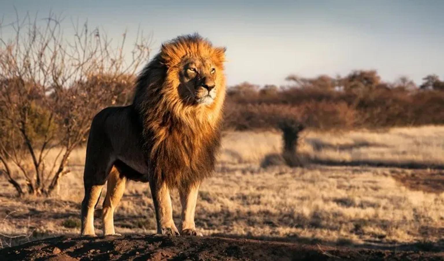 es seguro viajar a Sudáfrica