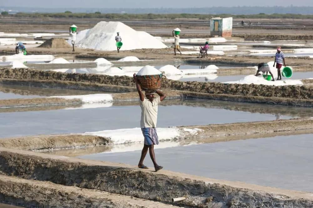 Visitar Pondicherry, Tamil Nadu, India