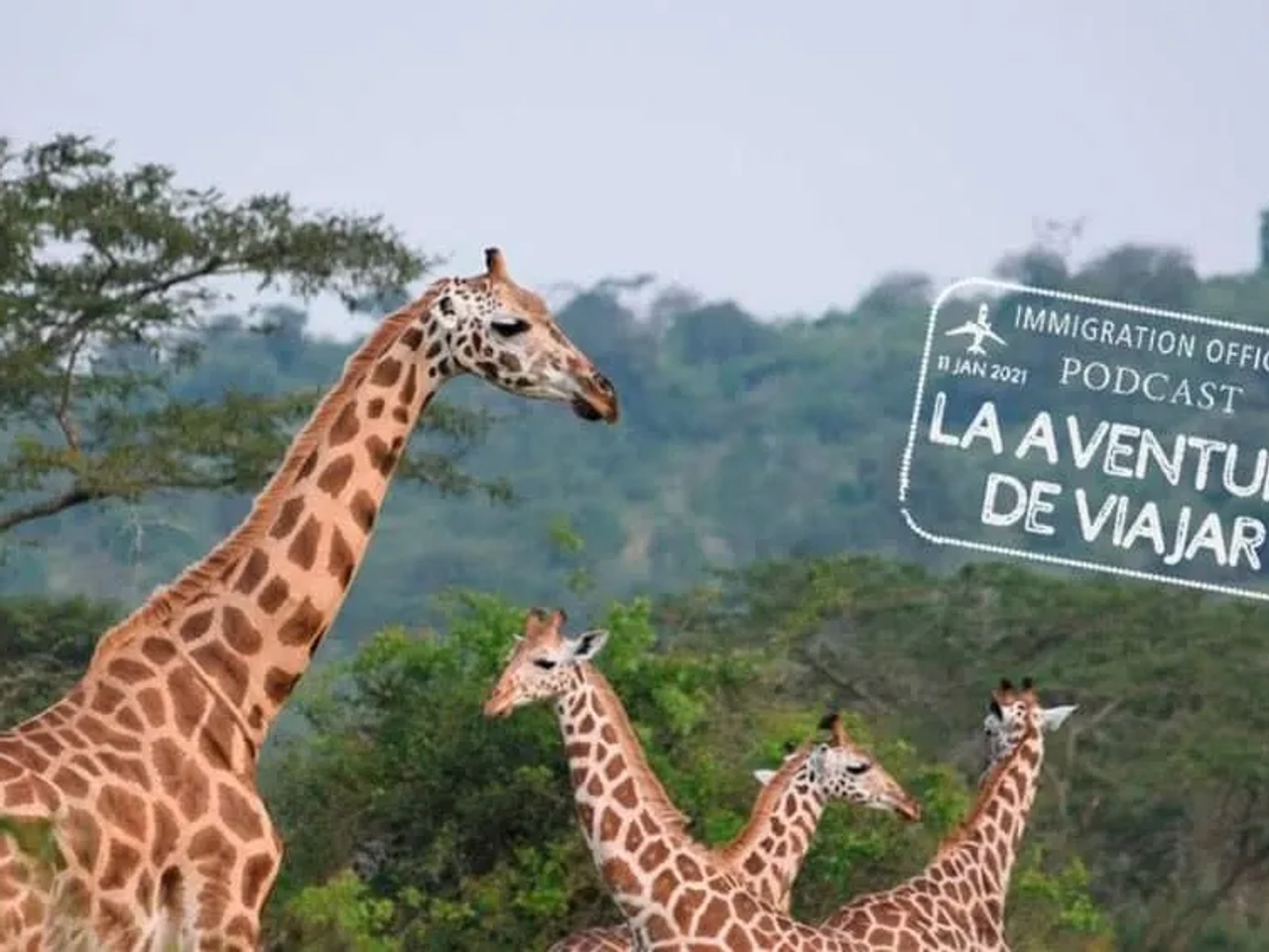 Compromiso IATI Podcast