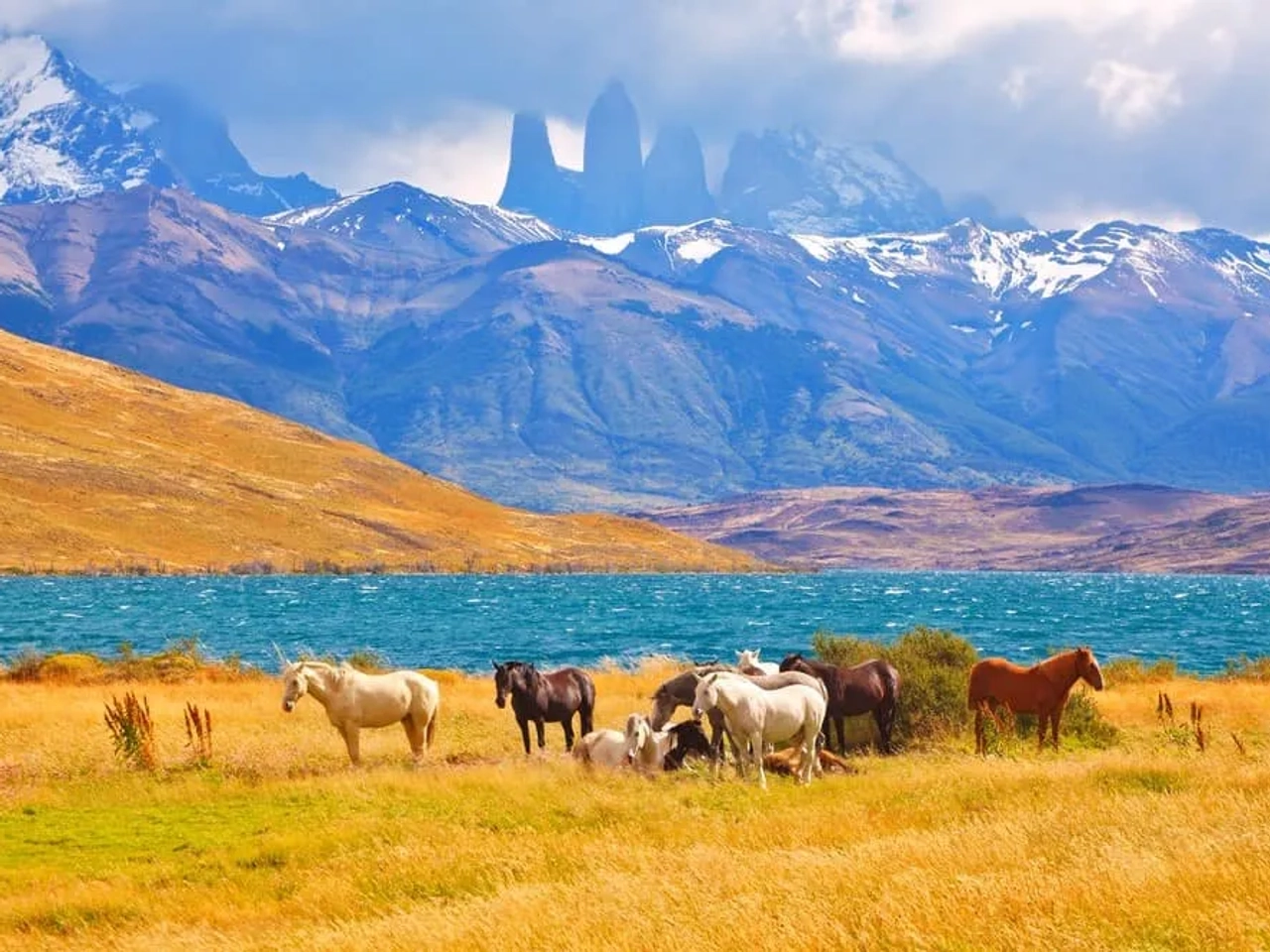 consejos para hacer el Trekking de Torres del Paine