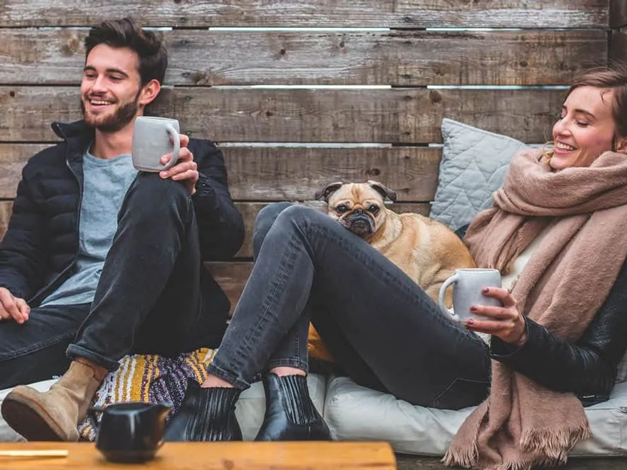 seguro de viaje para mascotas