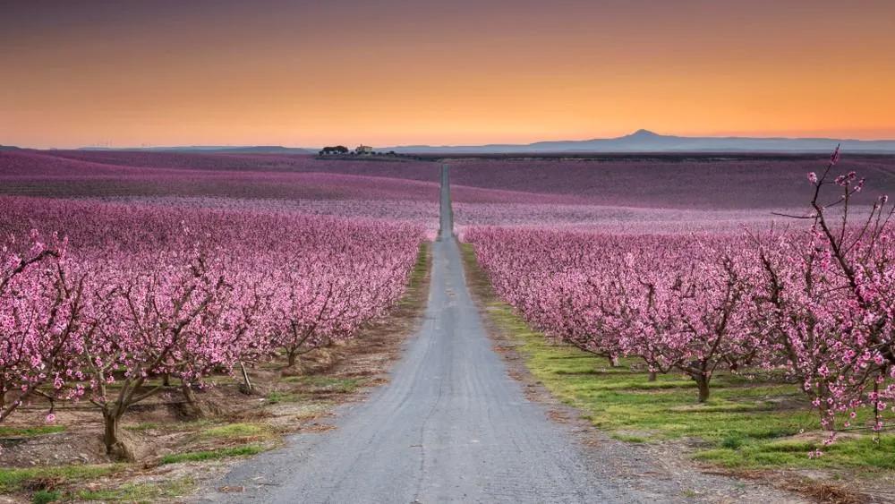 7 sitios espectaculares que visitar en primavera