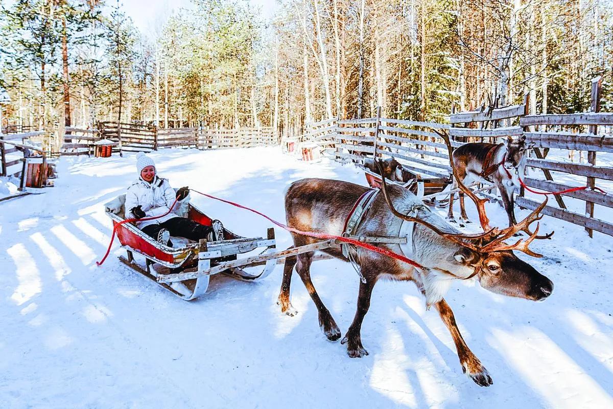 viajes familiares navidad