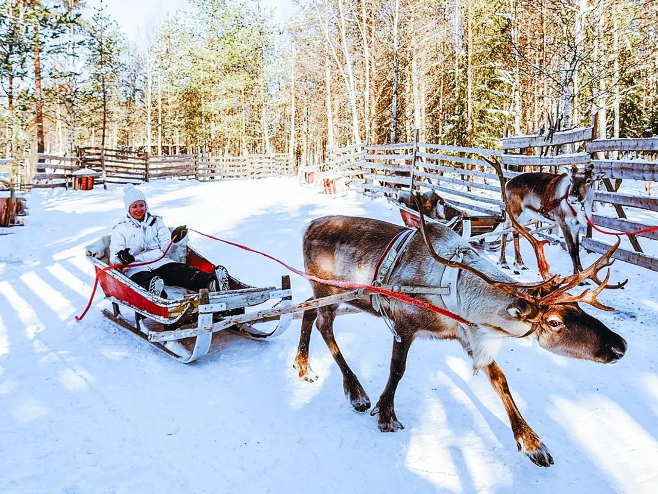 viajes familiares navidad