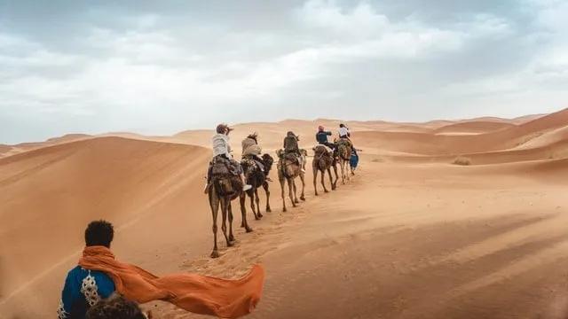 várias pessoas montadas em camelos no deserto do Sahara em Marrocos