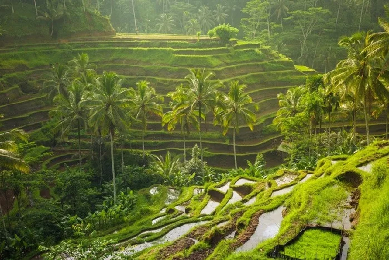 Es seguro viajar a Indonesia