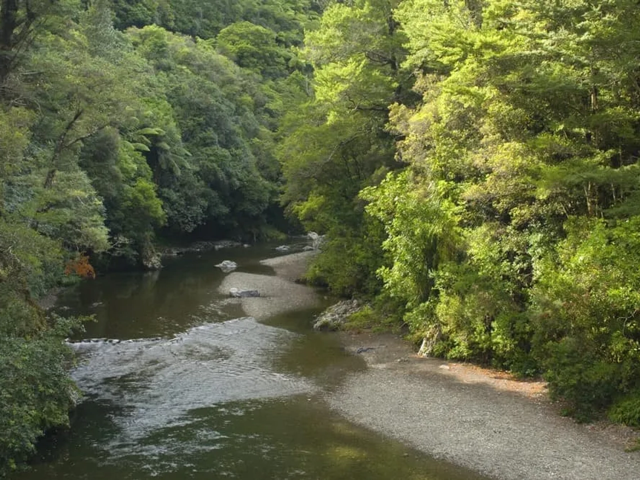 localización de Rivendel en el Señor de los Anillos, Nueva Zelanda