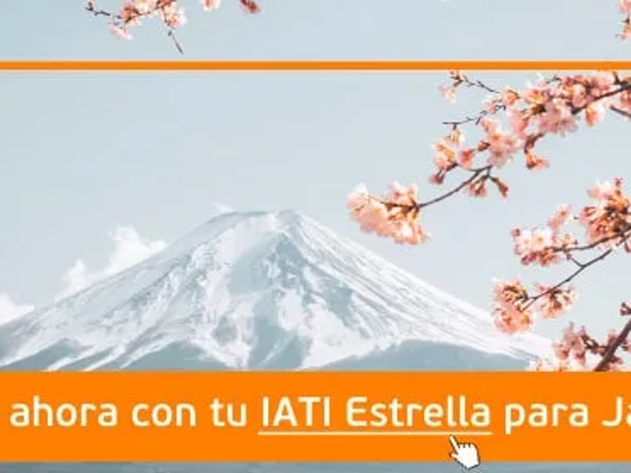 seguro internacional a Japón