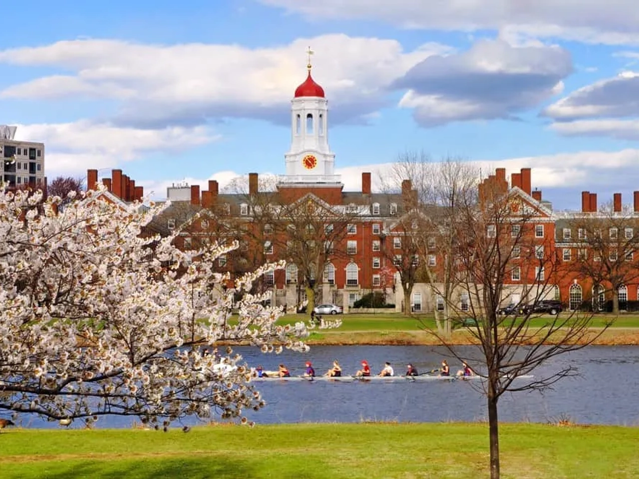 Vista del río Charles con el campus de Harvard y un equipo de remo.