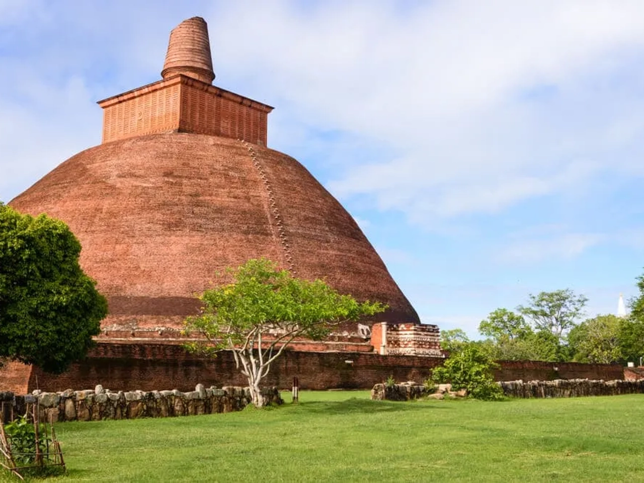 uma stupa de anuradhapura no meio da vegetaçao