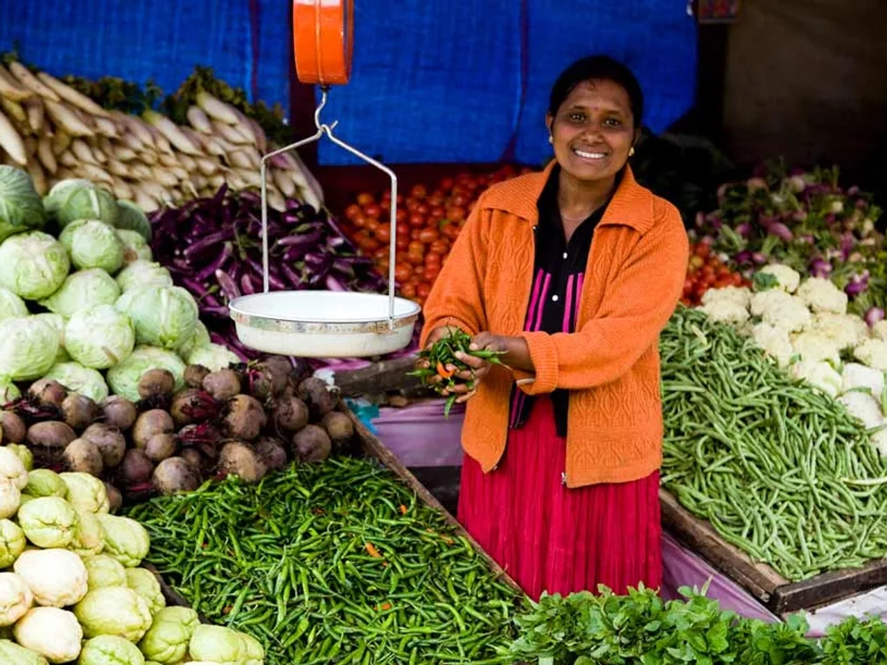 Consejos para viajar a Sri Lanka