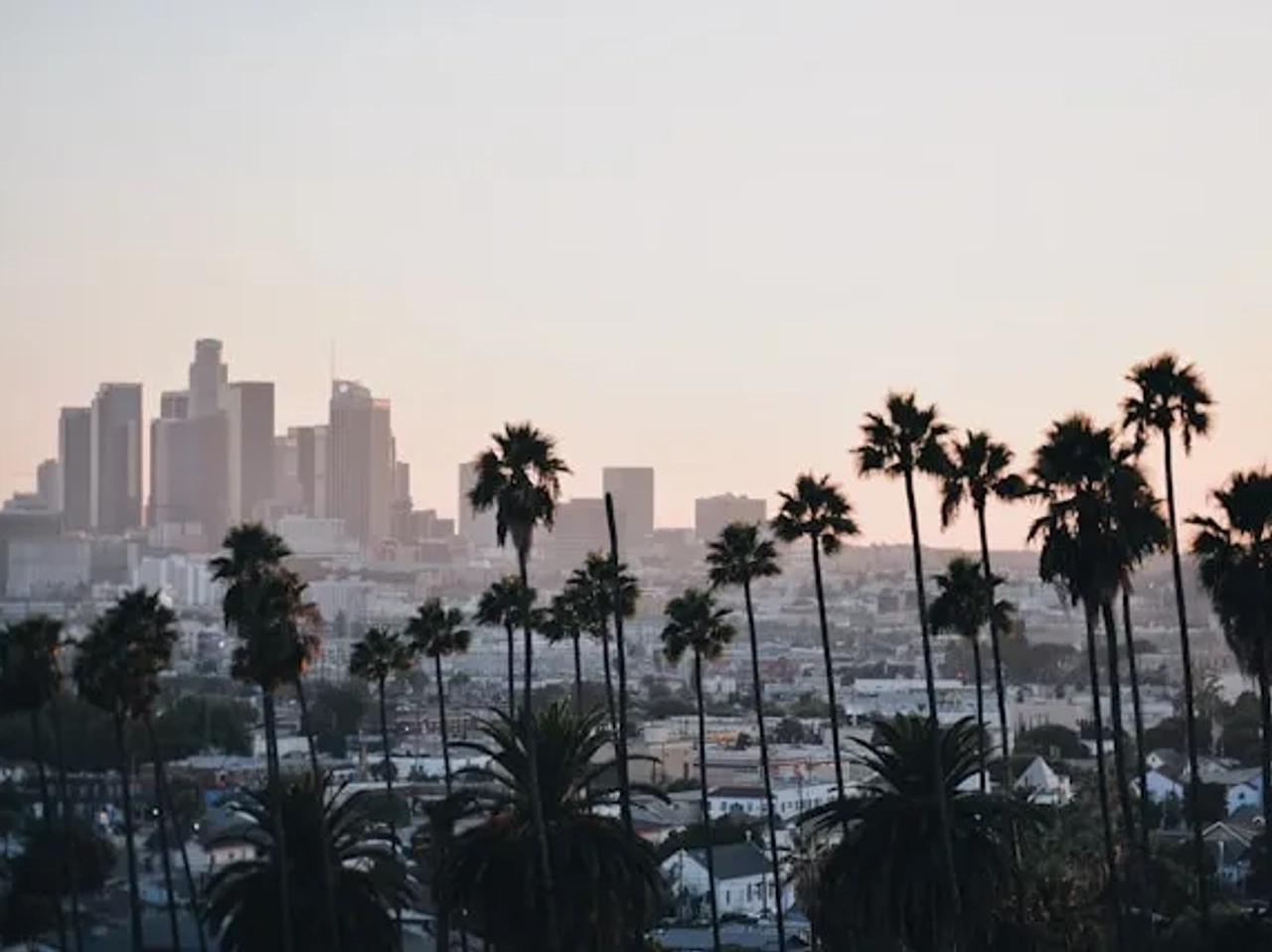 vista de los angeles ao por do sol com palmeiras