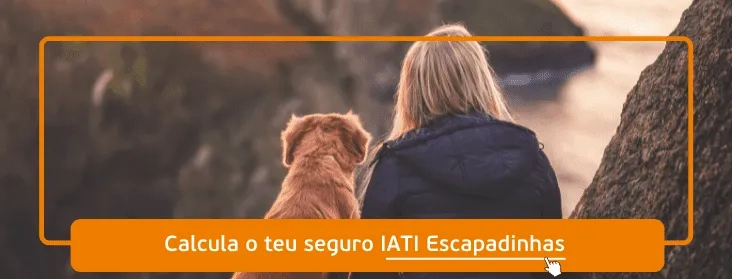 melhor seguro de viagem para o teu animal de estimação