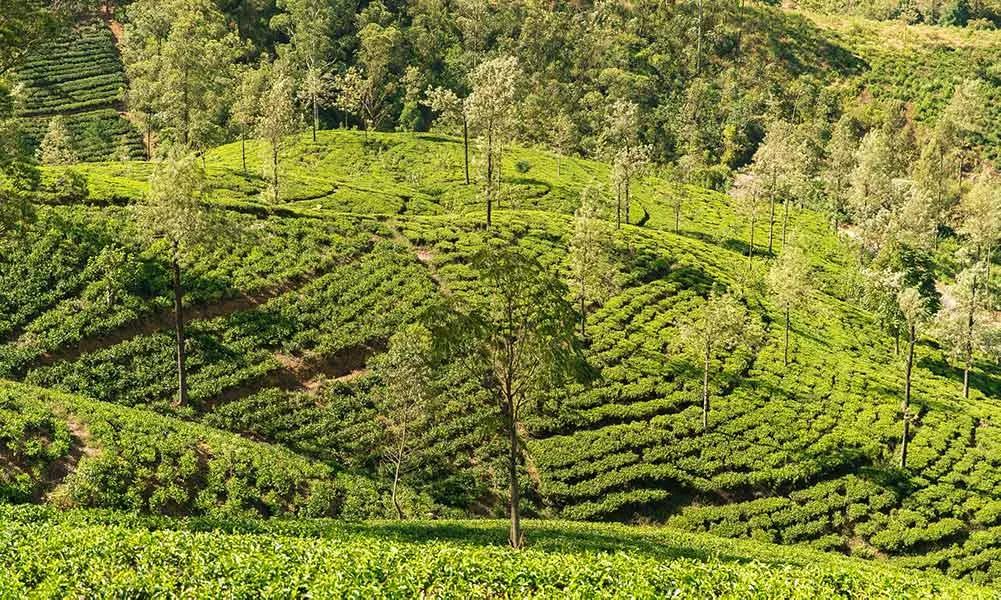 documentos para viaje a Sri Lanka