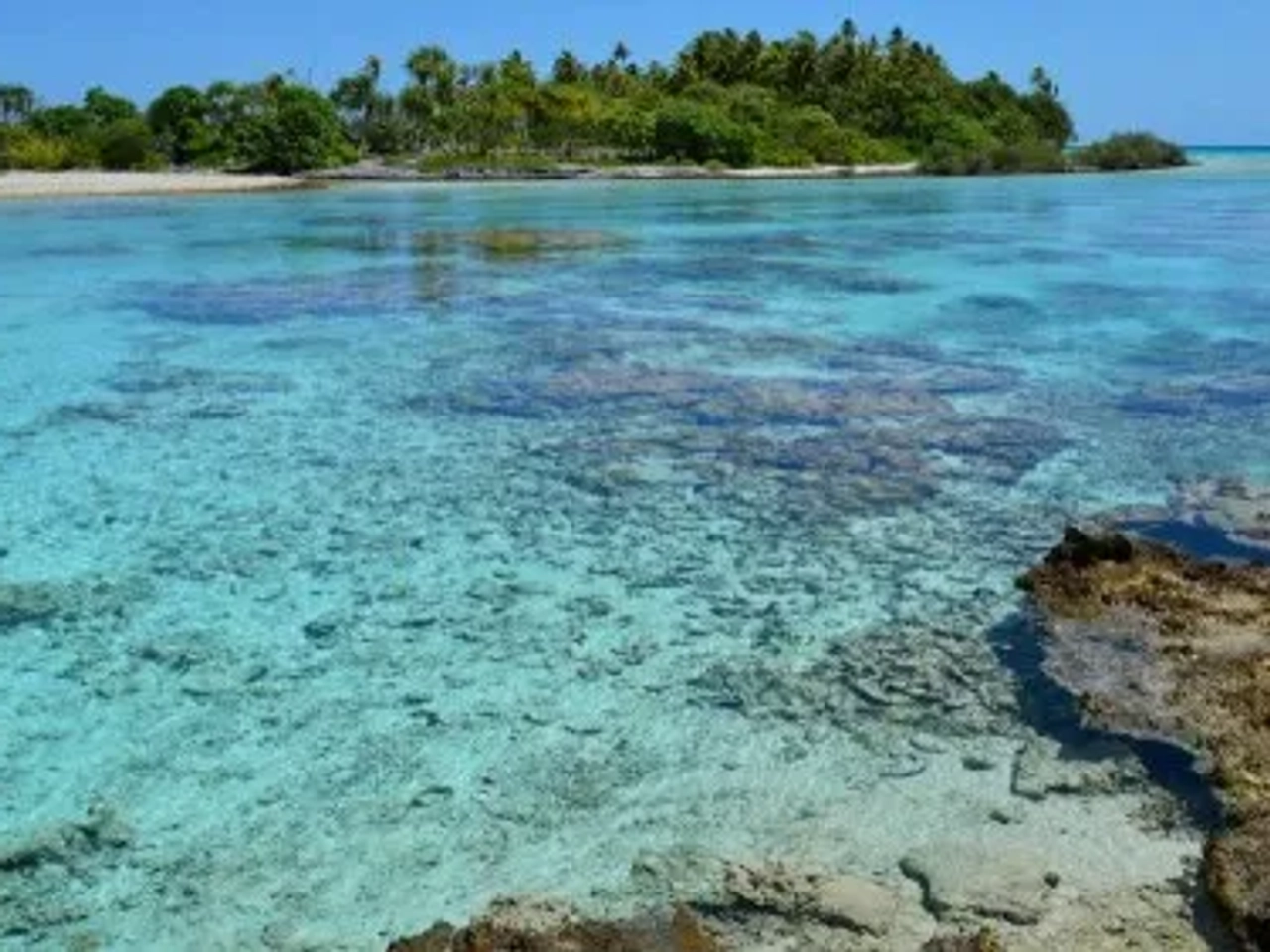 Aguas cristalinas y arrecifes en un paisaje tropical de Polinesia Francesa.