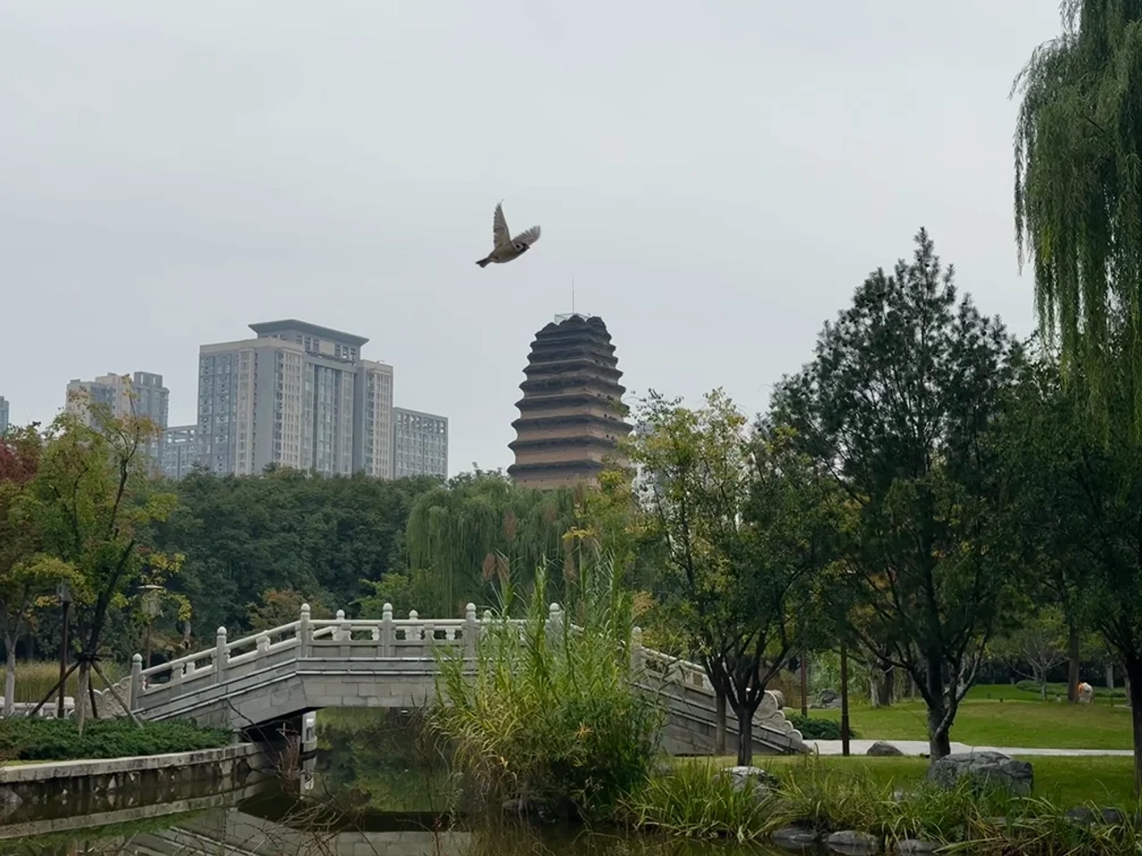 mejor zona alojarse en xian