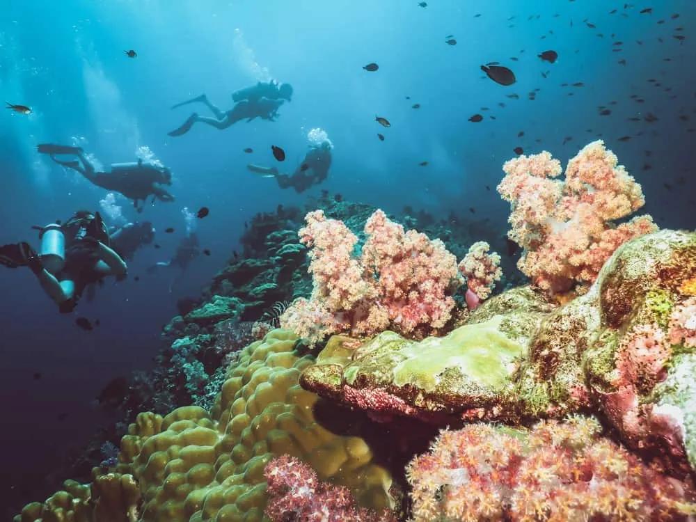 mejor buceo en Tailandia