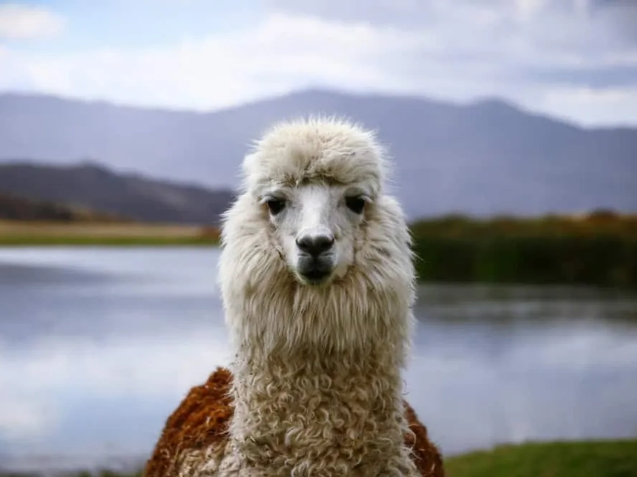 mejor época para visitar el Valle Sagrado de Perú