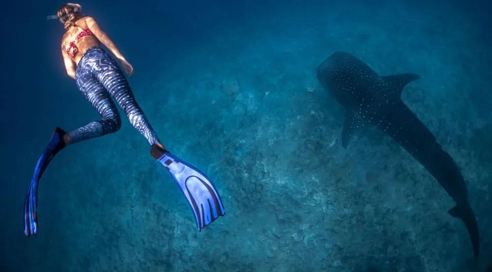 vacunas para viajar a Maldivas