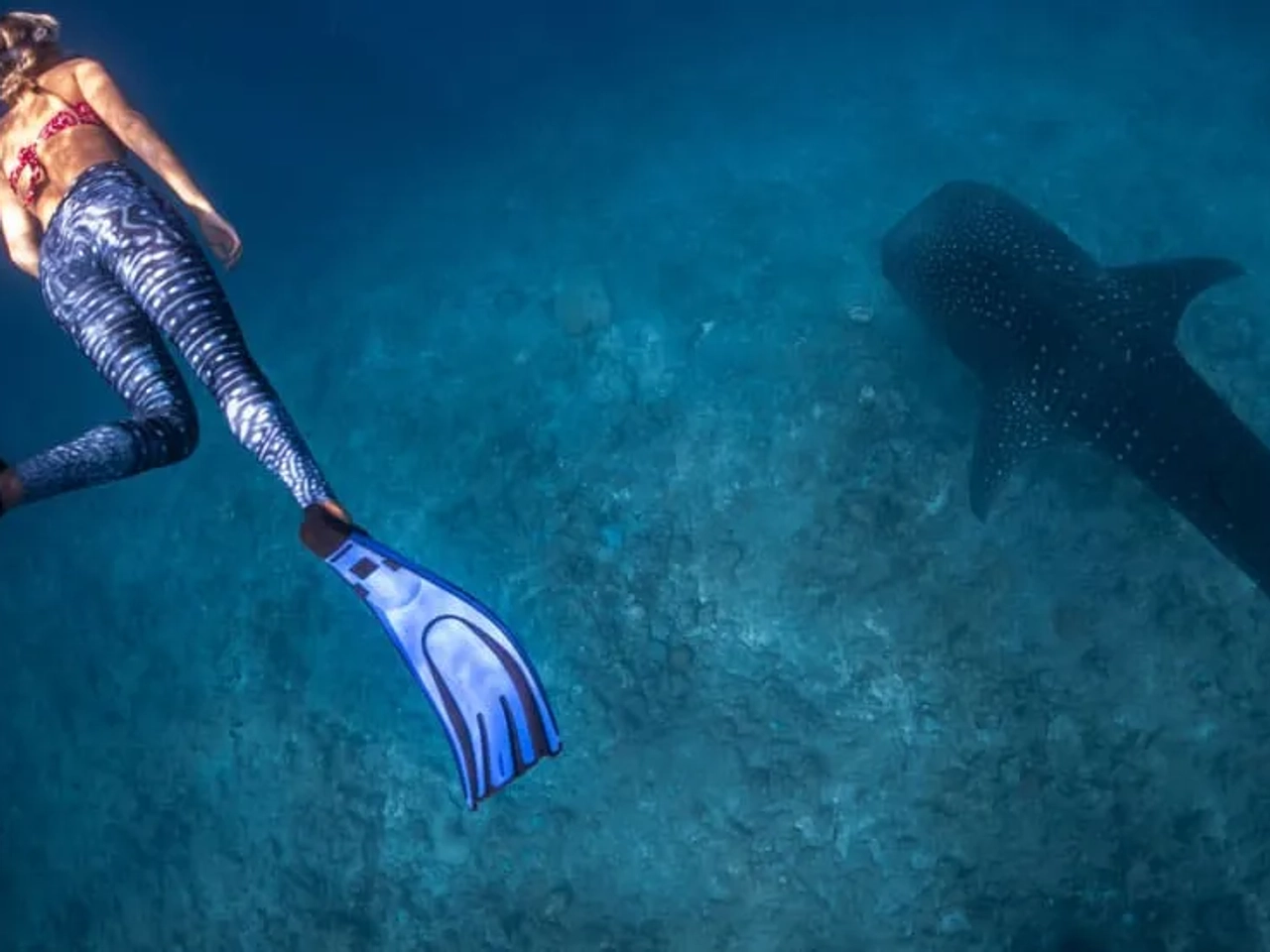 vacunas para viajar a Maldivas