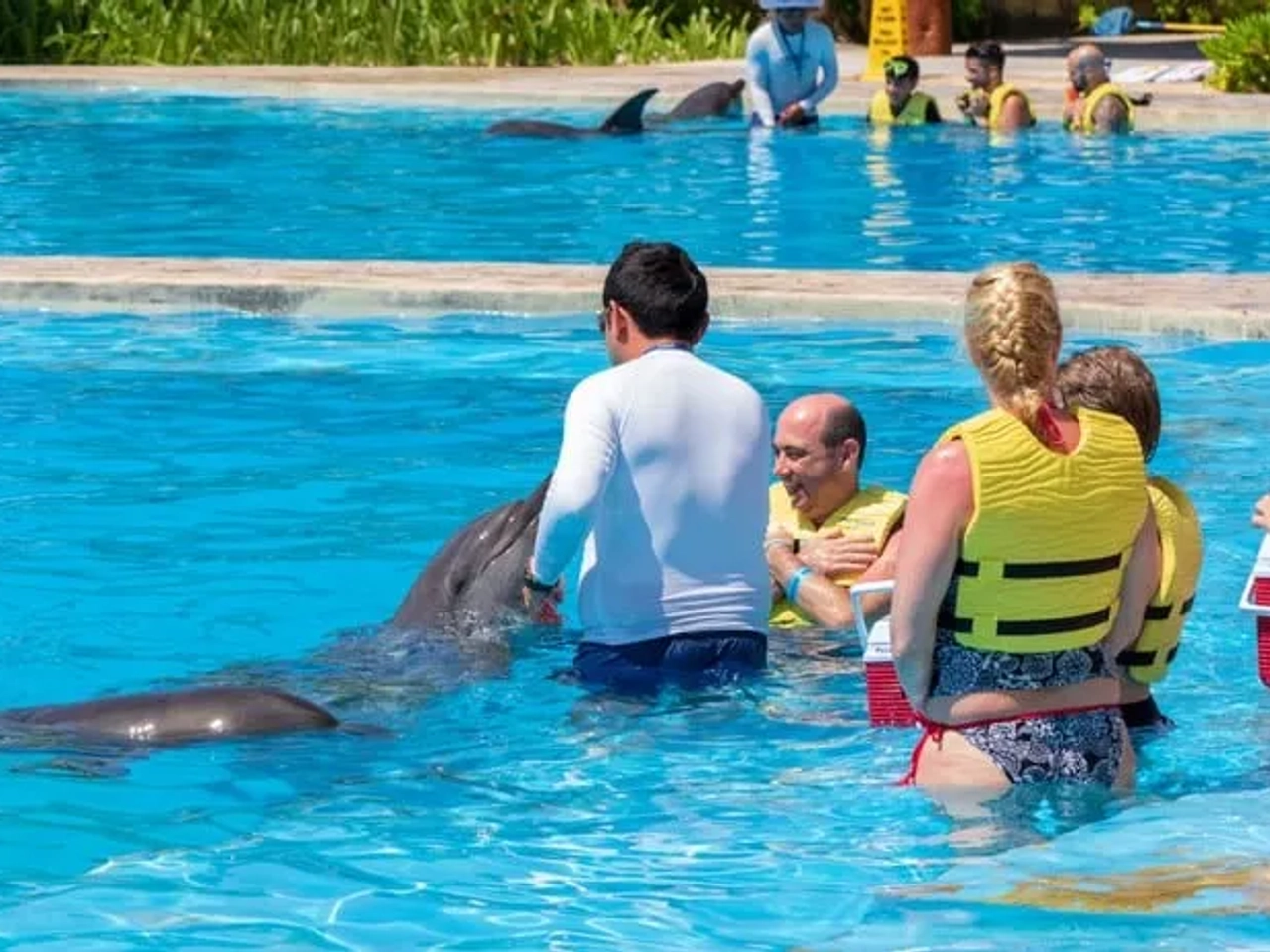 expectativa vs realidad turismo con animales