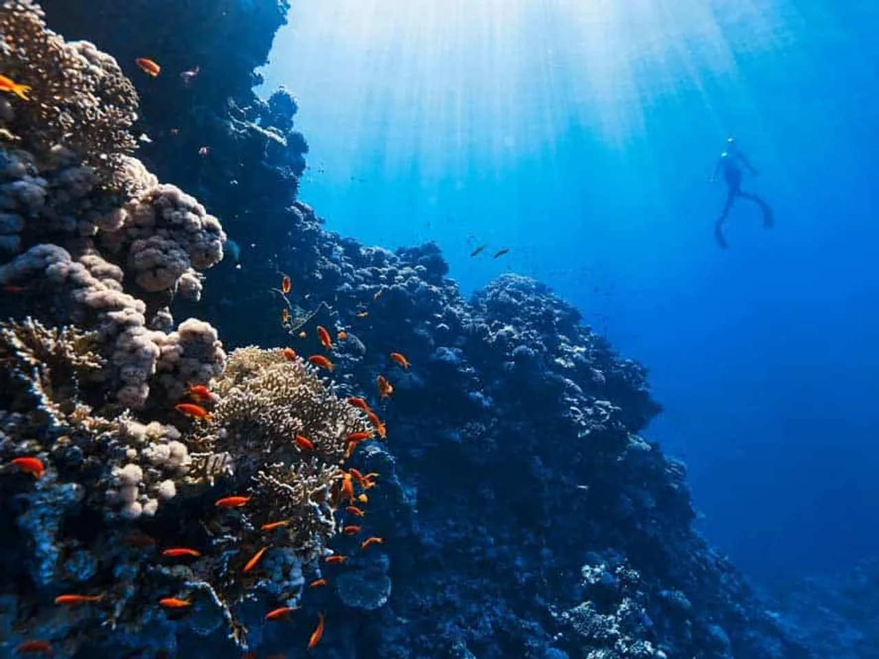 mejores puntos de buceo en Asia