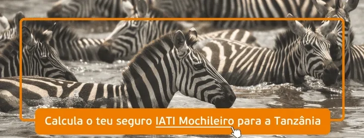 melhor seguro de viagem para a Tanzânia
