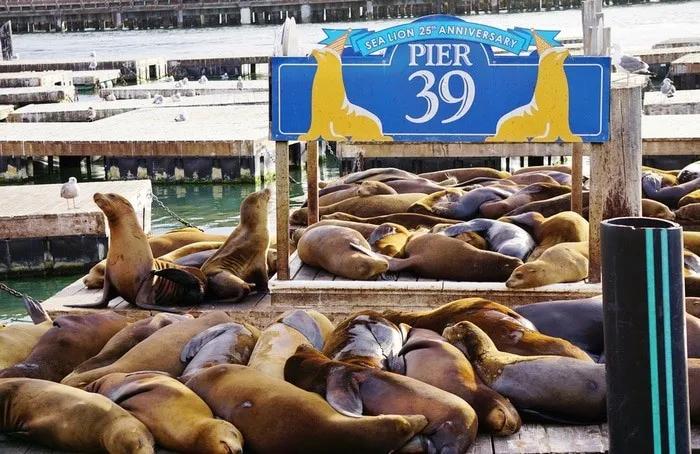 Pier 39