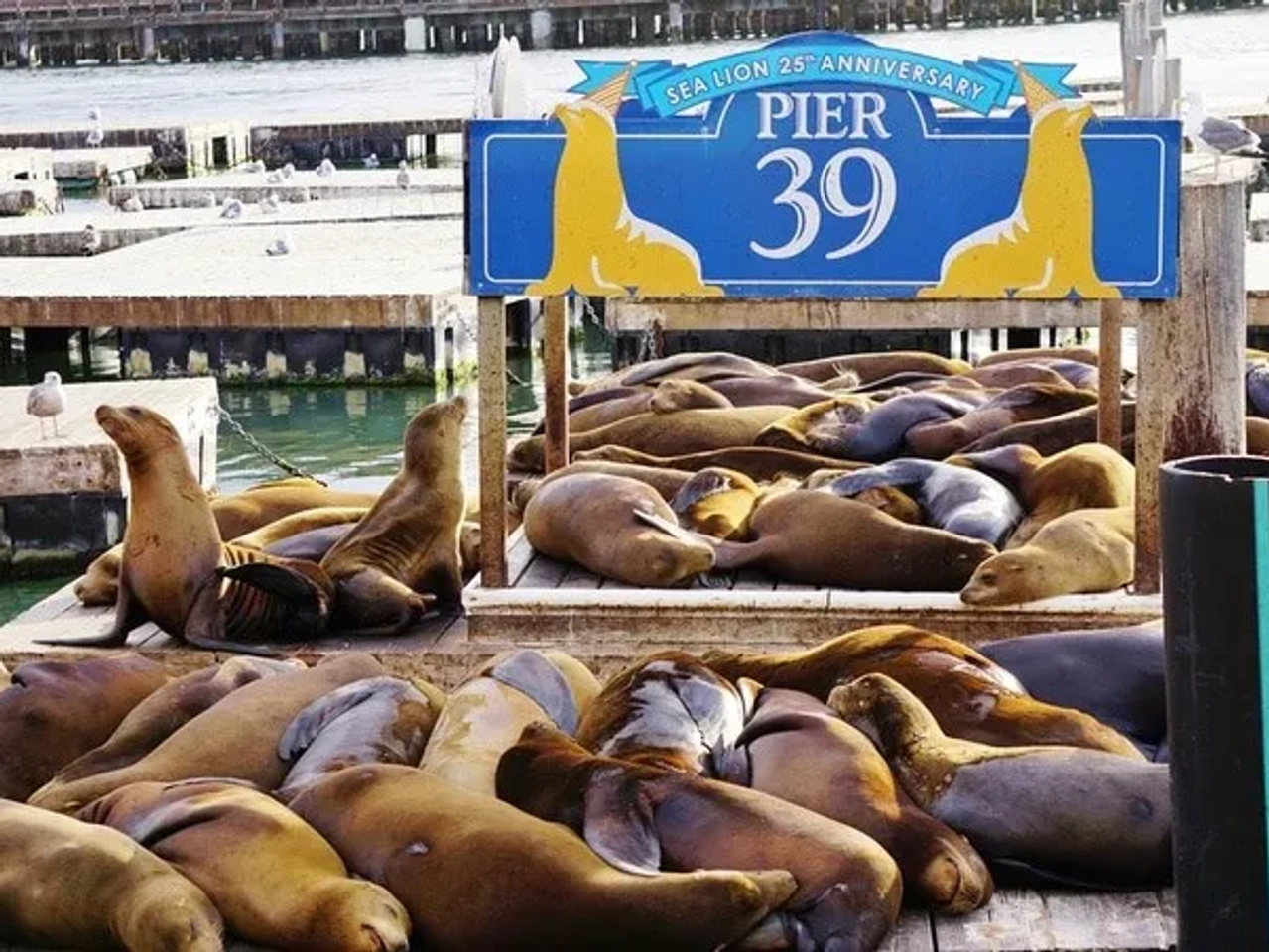Pier 39