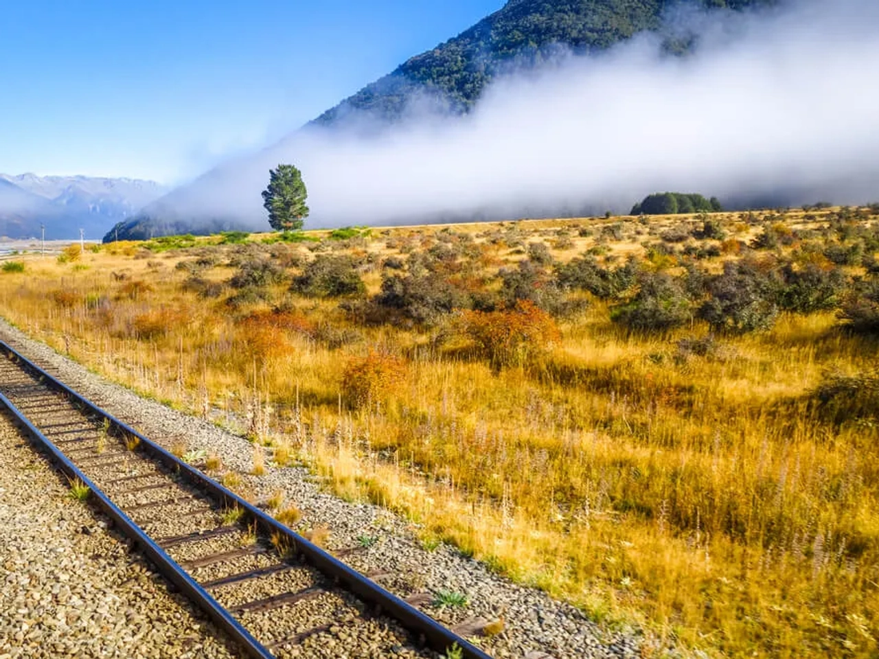 comboio tranzalpine na nova zelandia