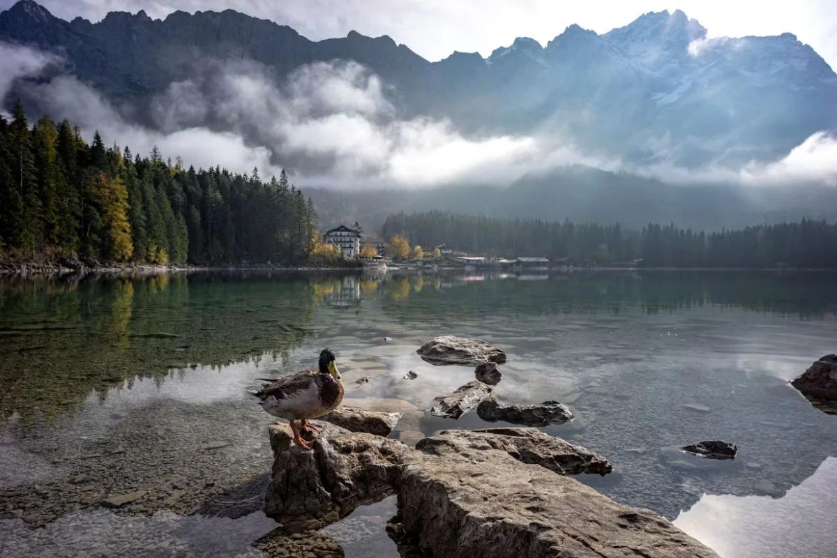Requisitos para viajar a Alemania