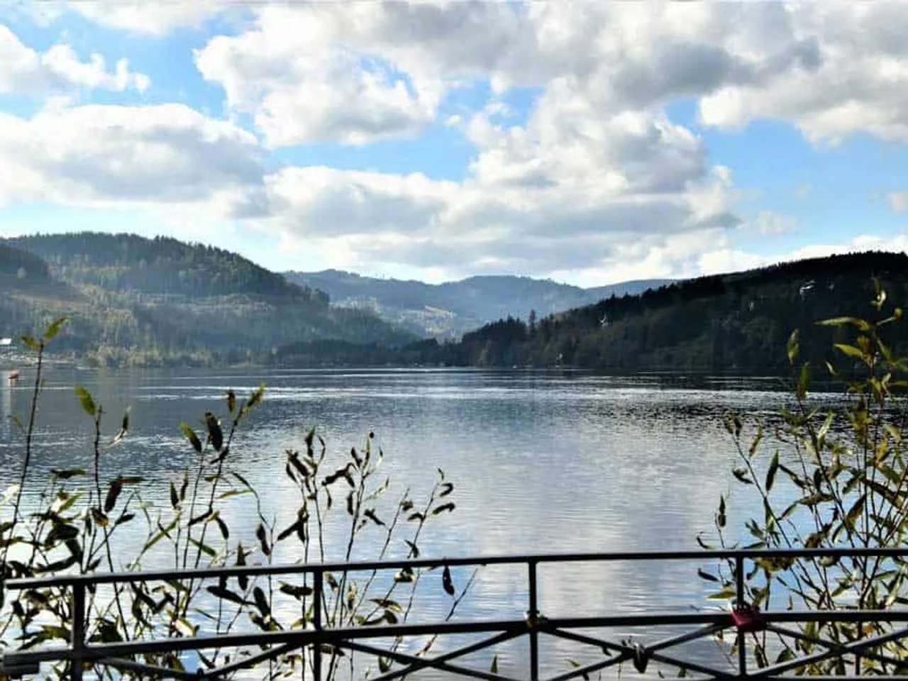 Lago Titisee
