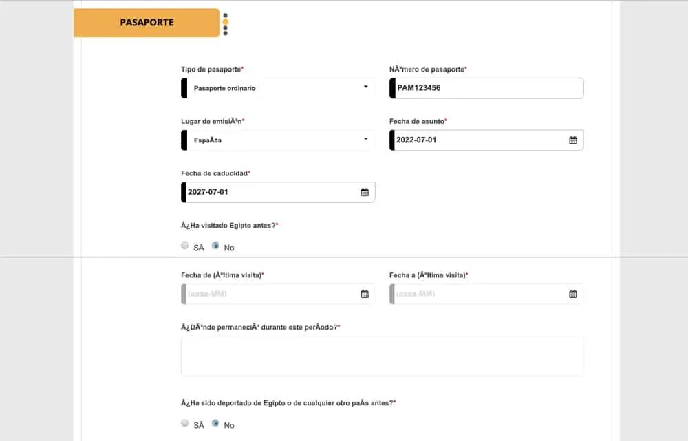 Formulario del visado