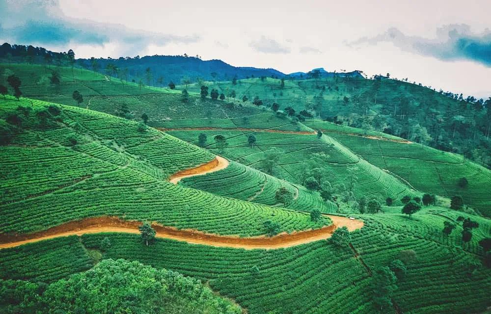 viajar a Asia este verano