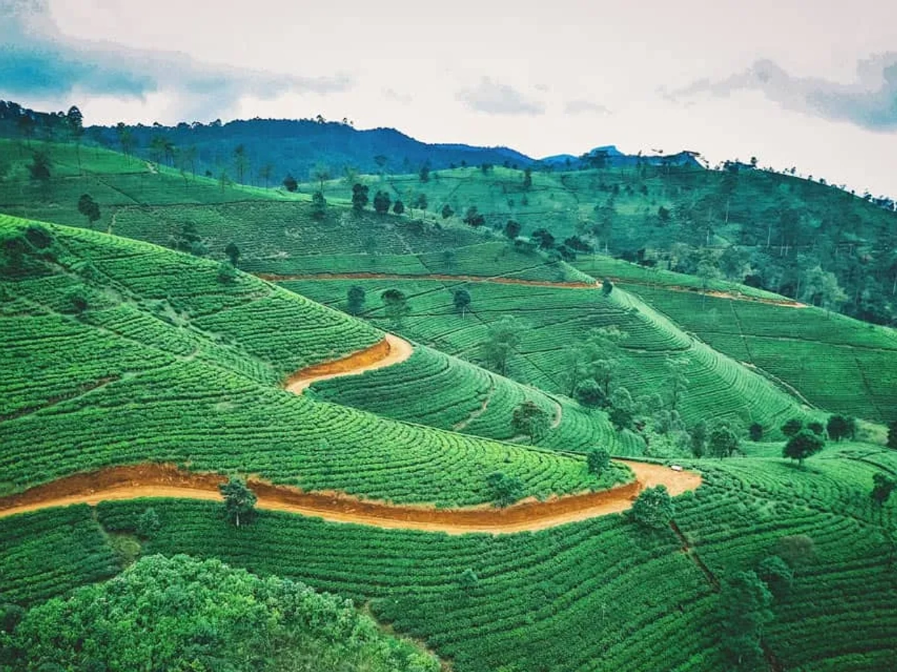 viajar a Asia este verano