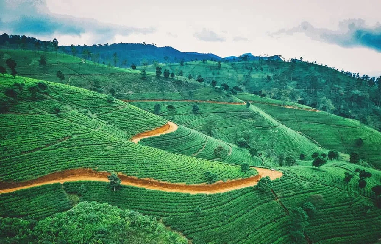 viajar a Asia este verano