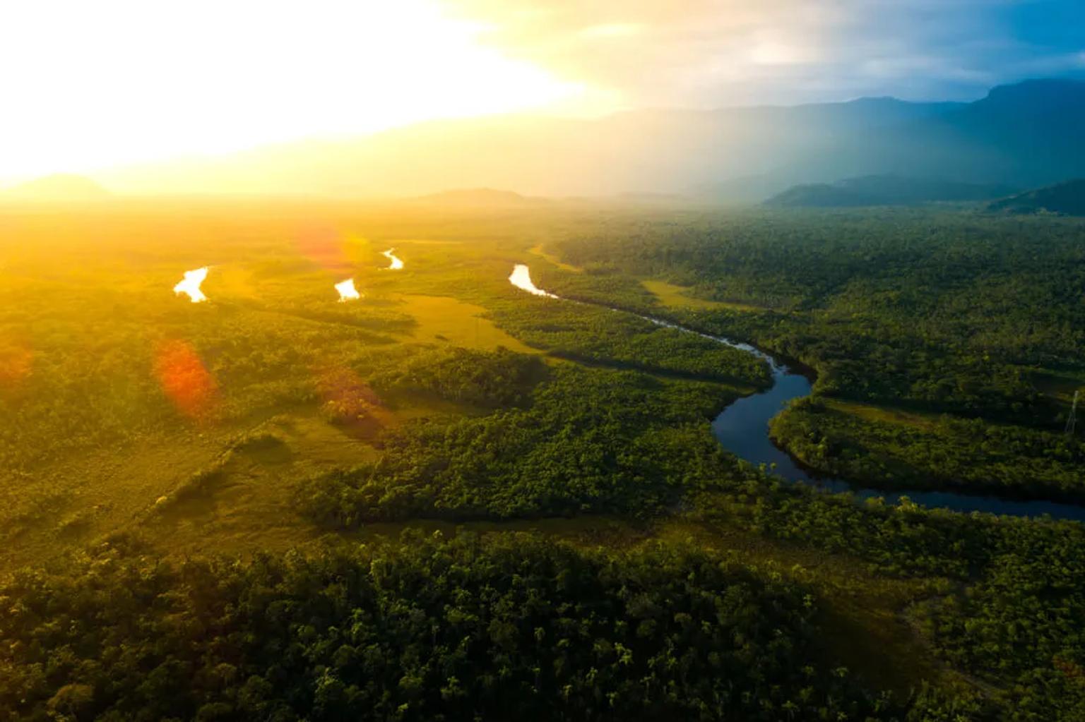 panoramica da floresta amazónica