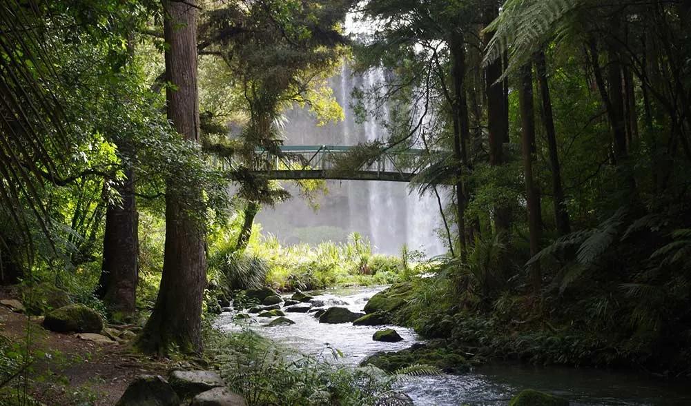 es seguro viajar a Nueva Zelanda