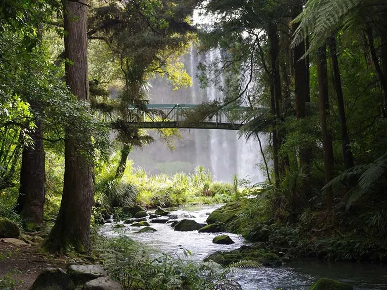 es seguro viajar a Nueva Zelanda