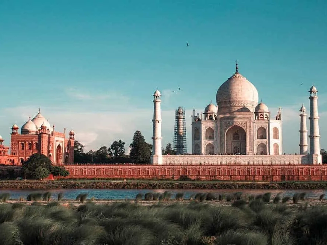 el Jardín a la Luz de la Luna